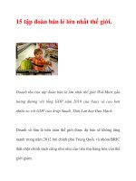 15 tập đoàn bán lẻ lớn nhất thế giới. doc
