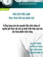 báo cáo tiểu luận môn  phát triển sản phẩm mới