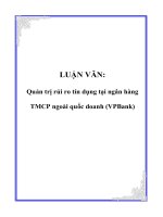 LUẬN VĂN: Quản trị rủi ro tín dụng tại ngân hàng TMCP ngoài quốc doanh (VPBank) pdf