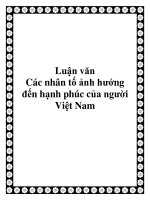 Luận văn: Các nhân tố ảnh hưởng đến hạnh phúc của người Việt Nam pptx
