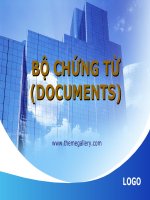BỘ CHỨNG TỪ (DOCUMENTS) potx