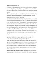 Dịch vụ Ngân hàng điện tử NGân hàng Á Châu ppt