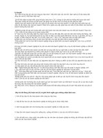 Đề cương văn hóa kinh doanh doc