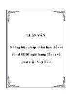 LUẬN VĂN: Những biện pháp nhằm hạn chế rủi ro tại SGDI ngân hàng đầu tư và phát triển Việt Nam pdf