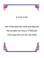 LUẬN VĂN Một số biện pháp đẩy mạnh hoạt động tiêu thụ sản phẩm tại Công ty TNHH phát triển mạng lưới toàn cầu Nam Dũng pot
