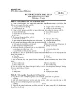 Đề thi Kiểm toán căn Bản-Đề số 4 pdf