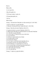 Đề tài “ Nguyên nhân phát triển thần kì của nền kinh tế Nhật Bản ( 1960-1973 )” potx