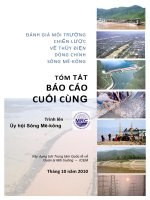 ĐÁNH GIÁ MÔI TRƯỜNG CHIẾN LƯỢC VỀ THỦY ĐIỆN DÒNG CHÍNH SÔNG MÊ-KÔNG potx