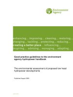 Good practice guidelines to the environment agency hydropower handbook pdf