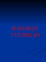 MÔ HÌNH HỒI QUY TUYẾN TÍNH K BiẾN ppt