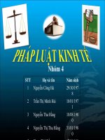 PHÁP LUẬT KINH TẾ - Nhóm 4 docx