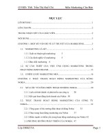 Đề tài “ Chiến lược marketing của hãng điện thoại di động Nokia ” doc