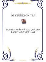 ĐỀ CƯƠNG ÔN TẬP : NGUYÊN NHÂN VÀ HẬU QUẢ CỦA LẠM PHÁT Ở VIỆT NAM doc