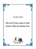 LUẬN VĂN: Đổi mới tổ chức, quản lý kinh doanh ở Điện lực Quảng Nam ppt