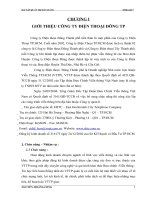 BÀI TẬP QUẢN TRỊ BÁN HÀNG : PHÂN TÍCH MÔI TRƯỜNG KINH DOANH CỦA CÔNG TY ĐIỆN THOẠI ĐÔNG TP pptx