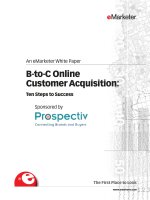 An eMarketer White Paper B-to-C Online Customer Acquisition doc