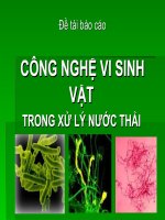 đề tài báo cáo  công nghệ vi sinh vật trong xử lý nước thải