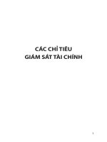 CÁC CHỈ TIÊU GIÁM SÁT TÀI CHÍNH doc