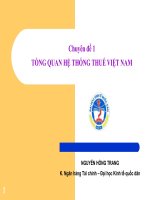 TỔNG QUAN HỆ THỐNG THUẾ VIỆT NAM docx