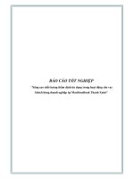 Báo cáo tốt nghiệp: “Nâng cao chất lượng thẩm định tín dụng trong hoạt động cho vay khách hàng doanh nghiệp tại MaritimeBank Thanh Xuân” docx