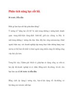 Phân tích năng lực cốt lõi pptx
