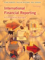 International Financial Reporting pdf