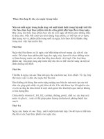 Thực đơn hợp lý cho các ngày trong tuần pptx