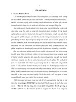 Báo cáo đề tài: ”Kế toán tiêu thụ hàng hóa và xác định kết quả kinh doanh tại công ty TNHH T&N” docx