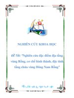 NGHIÊN CỨU KHOA HỌC ĐỀ TÀI: “Nghiên cứu đặc điểm địa tầng vùng Rồng, cơ chế hình thành, đặc tính tầng chứa vùng Đông Nam Rồng” potx