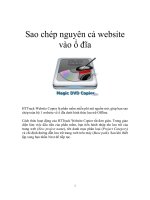 Sao chép nguyên cả website vào ổ đĩa doc