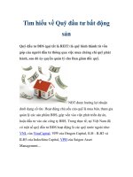 Tìm hiểu về Quỹ đầu tư bất động sản ppt