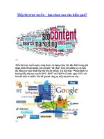 Tiếp thị trực tuyến – lựa chọn sao cho hiệu quả? pdf