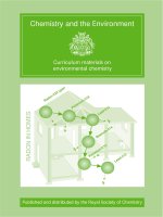Chemistry and the Environment potx