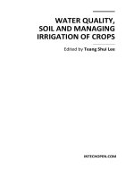 WATER QUALITY, SOIL AND MANAGING IRRIGATION OF CROPS pot