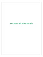 Virus Kido có biến thể mới nguy hiểm potx