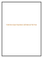 Cảnh báo trojan Neprodoor xuất hiện tại Việt Nam pot