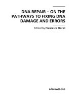 DNA REPAIR − ON THE PATHWAYS TO FIXING DNA DAMAGE AND ERRORS docx