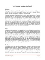 Cây long não và những điều cần biết