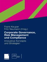 Corporate Governance, Risk Management und Compliance potx