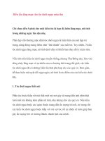 Biến tấu lãng mạn cho tóc đuôi ngựa mùa thu docx