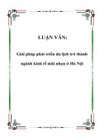 LUẬN VĂN: Giải pháp phát triển du lịch trở thành ngành kinh tế mũi nhọn ở Hà Nội pptx