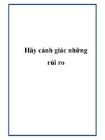 Hãy cảnh giác những rủi ro ppt