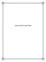 Trojan.Win32.Agent2.dtb potx