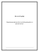 Báo cáo tốt nghiệp: “Những biện phỏp nhằm hạn chế rủi ro tại SGDI ngõn hàng đầu tư và phỏt triển Việt Nam” pdf