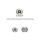 Labour and the Environment: A Natural Synergy pptx