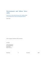 Environment and labour force skills docx