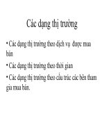 Các dạng thị trường doc