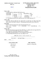 de kiem tra hoc ky II nam 2010 2011 lop 9 pptx