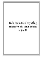 Biến thảm kịch cay đắng thành cơ hội kinh doanh triệu đô doc