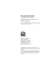 Jobs versus the Environment: An Industry-level Perspective docx